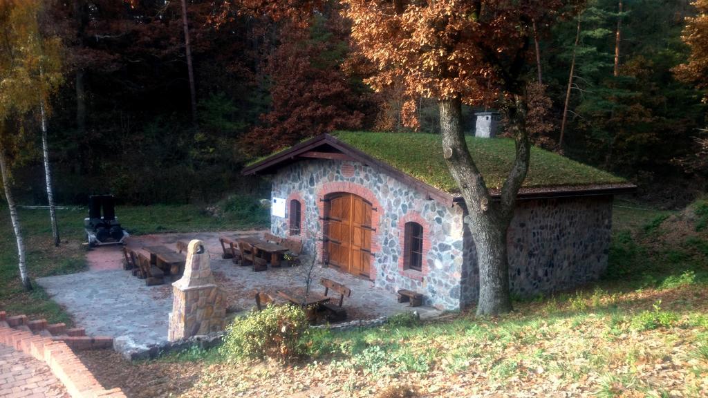 Appartamento Dwor Mysinek Grabowiec  Esterno foto
